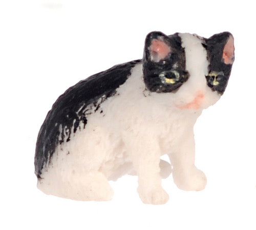 Sitting Tuxedo Kitten