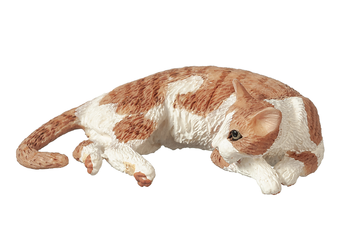 Orange Tabby Cat, Laying