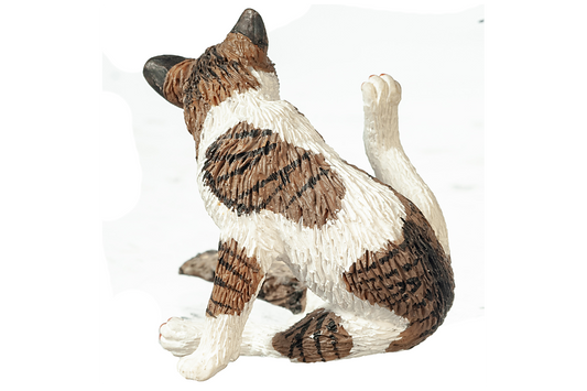 Tabby Cat with Fluffy Tail, Grooming