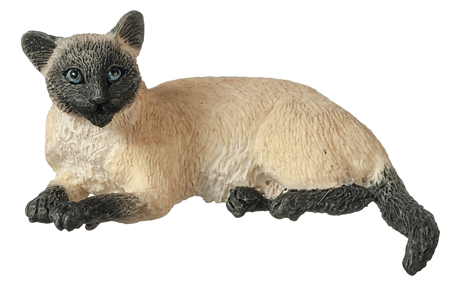 Siamese Cat, Laying