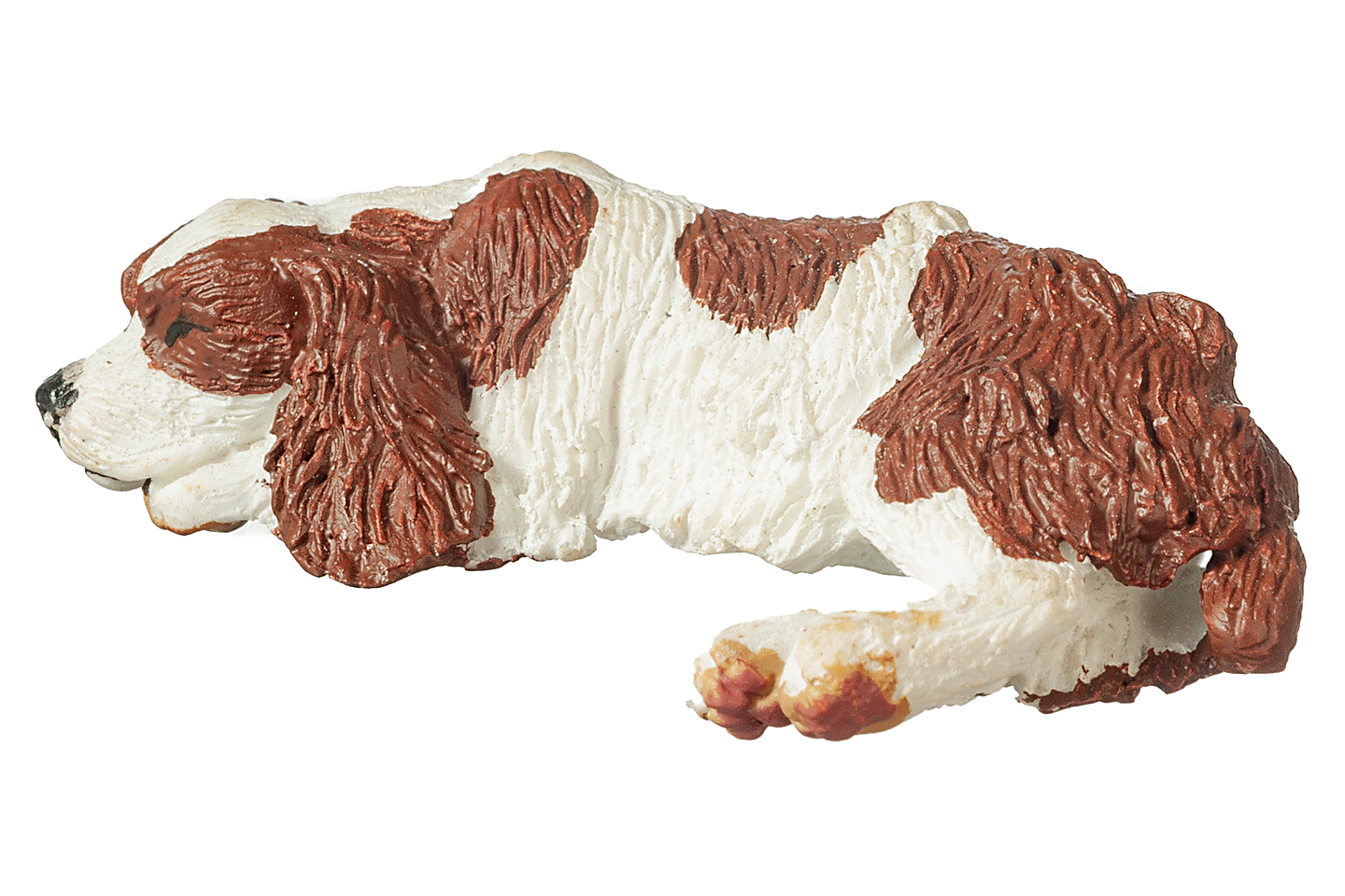 Cocker Spaniel (Brown & White), Sleeping