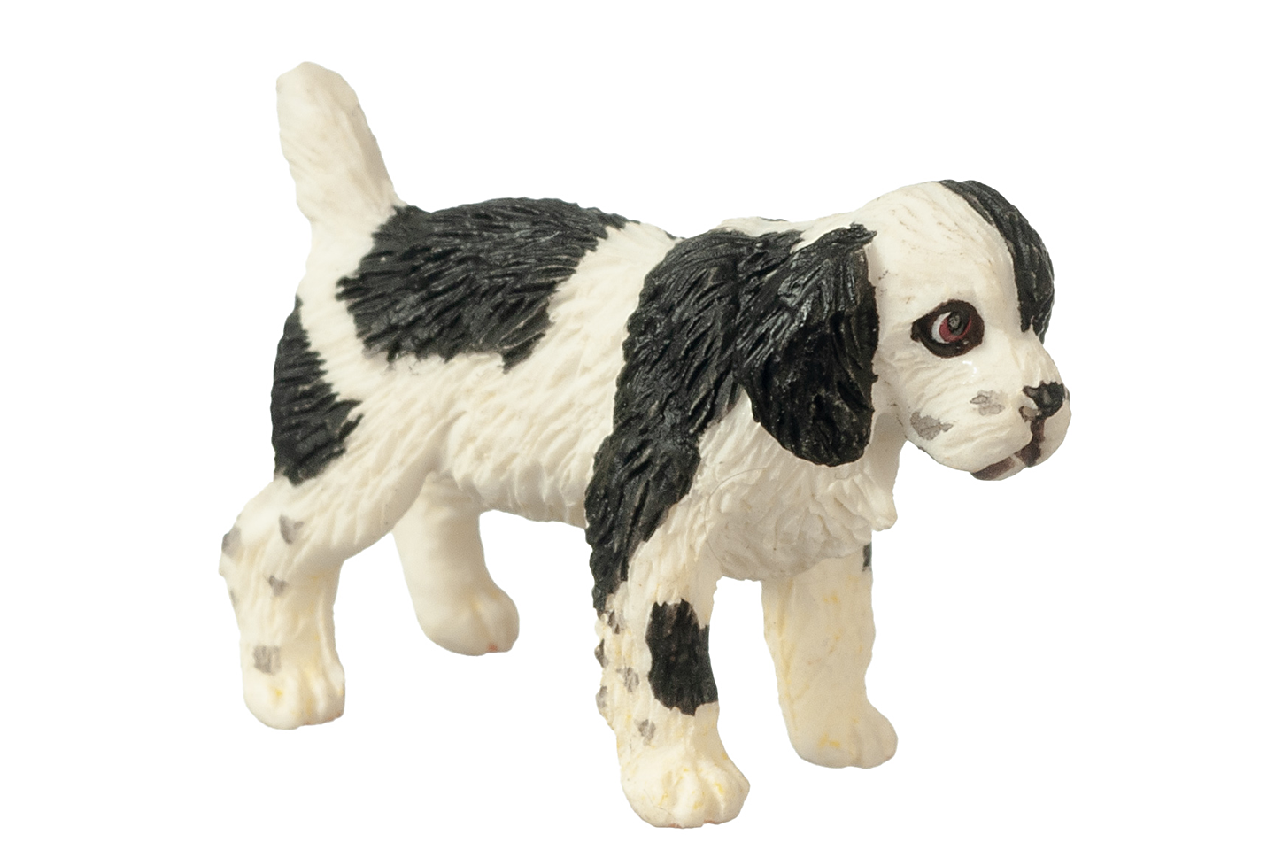 Spaniel Puppy (Black & White), Standing