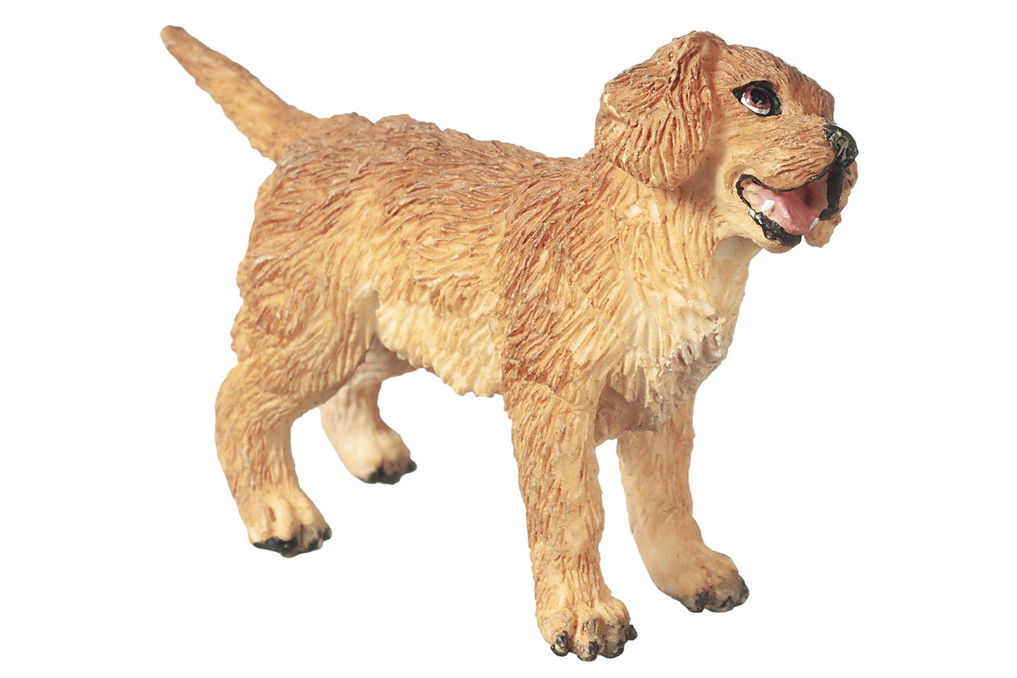 Golden Retriever Puppy, Standing