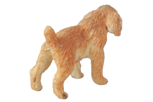 Spaniel Puppy (Buff), Standing