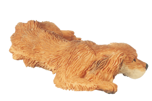 Cocker Spaniel (Buff), Sleeping