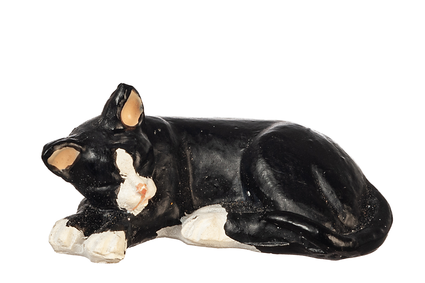Tuxedo Cat, Laying