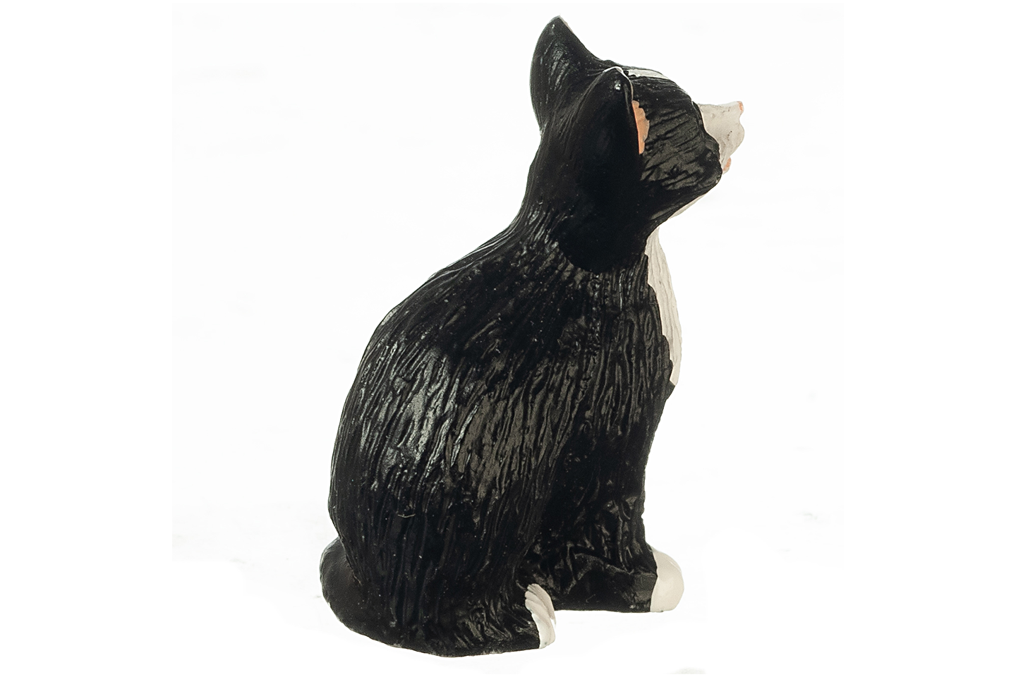 Tuxedo Cat, Sitting
