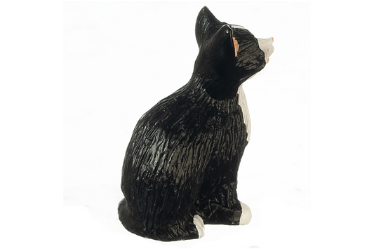 Tuxedo Cat, Sitting