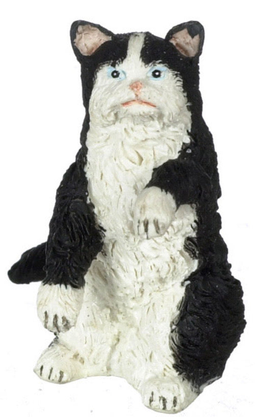 Sitting Tuxedo Persian Cat