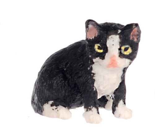 Sitting Tuxedo Kitten (Socks)