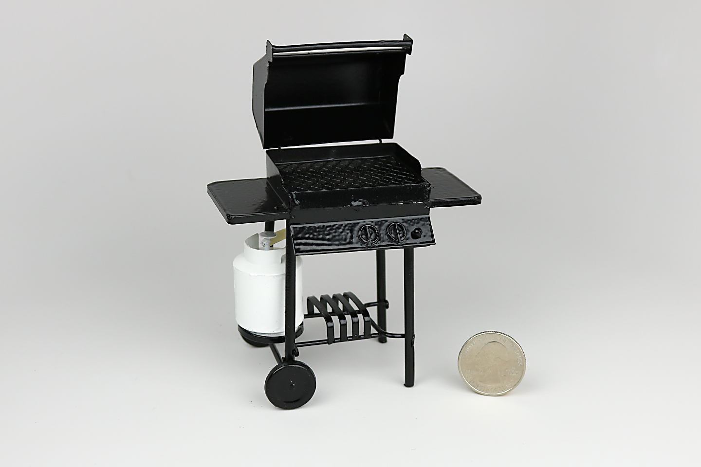 Barbecue Grill with Propane