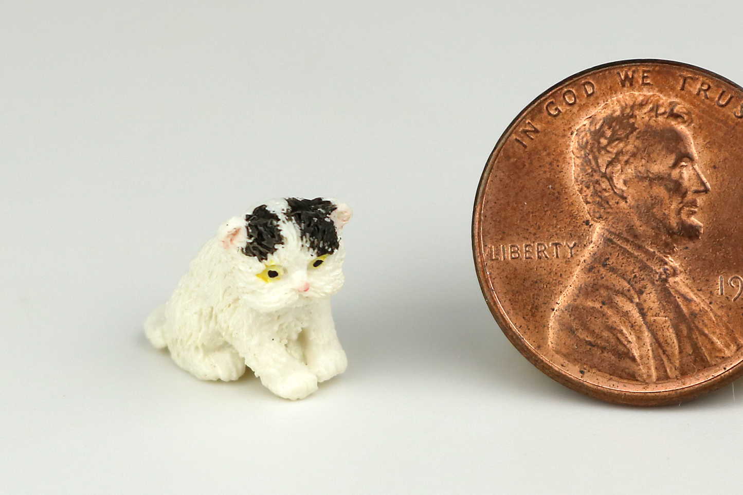 Sitting Black & White Persian Kitten