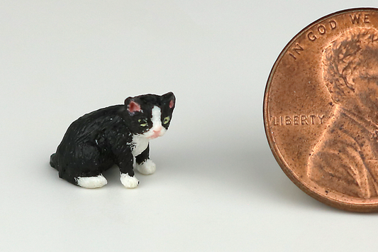 Sitting Tuxedo Kitten (Socks)