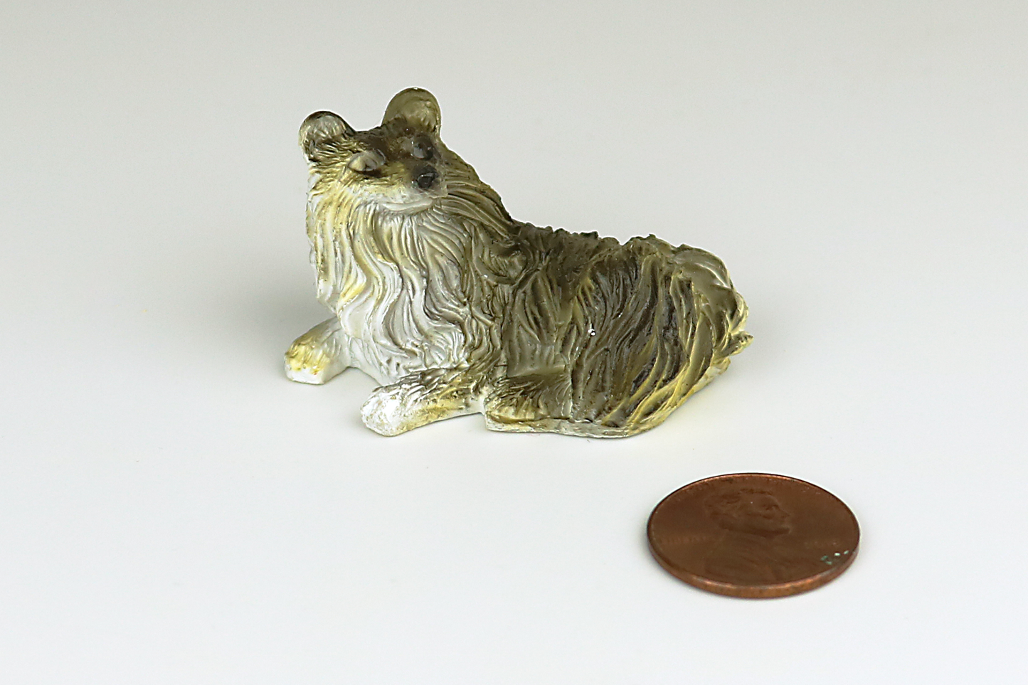 Sitting Gray Collie