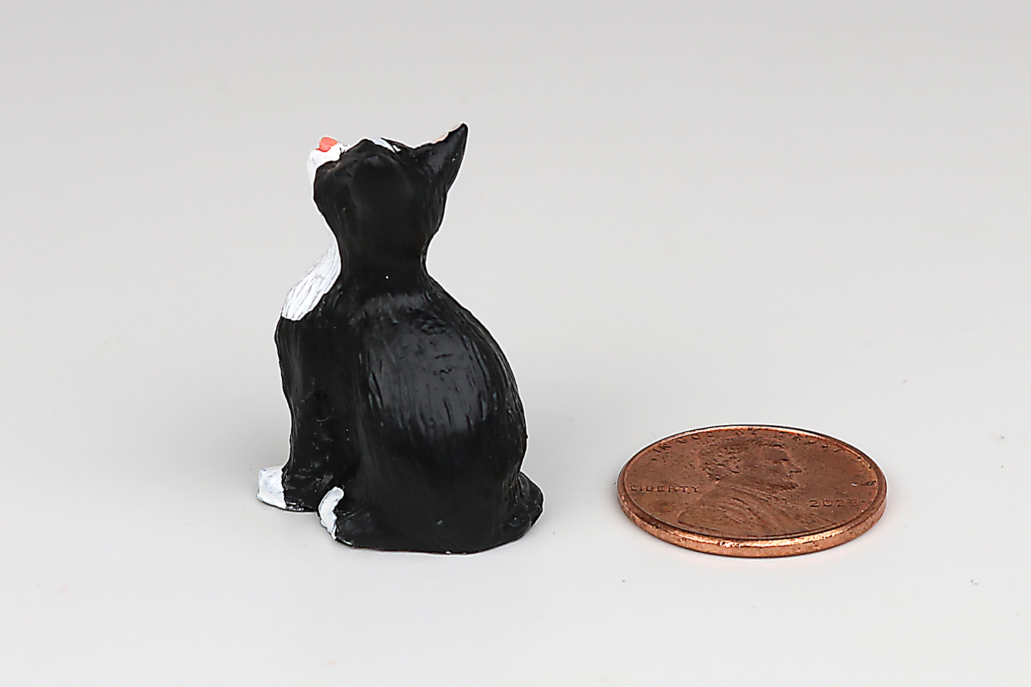 Sitting Tuxedo Cat with Eyes Closed