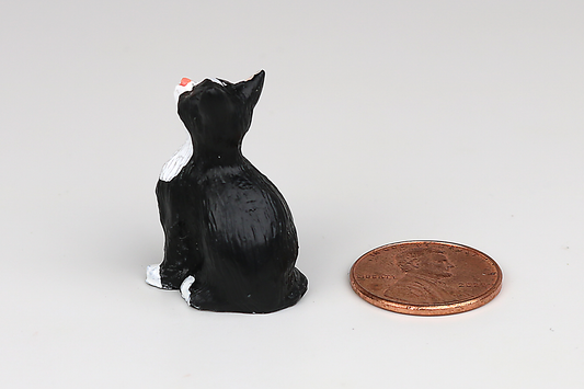 Sitting Tuxedo Cat with Eyes Closed