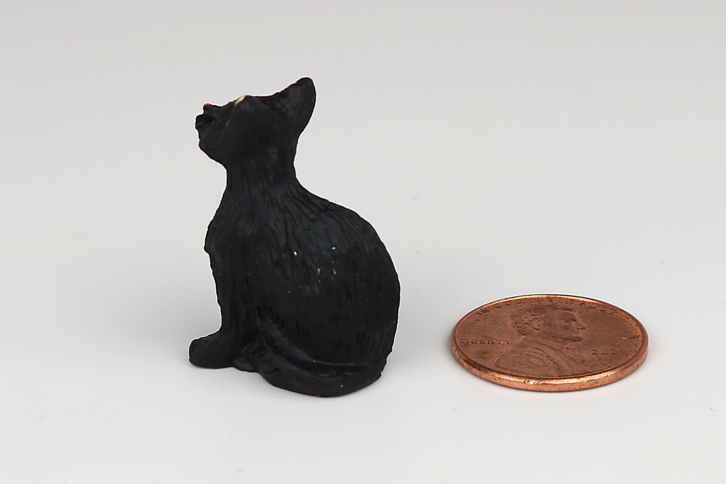 Sitting Black Cat
