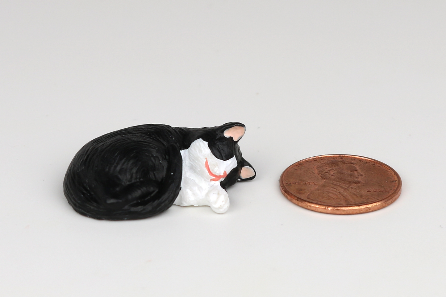 Sleeping Tuxedo Cat