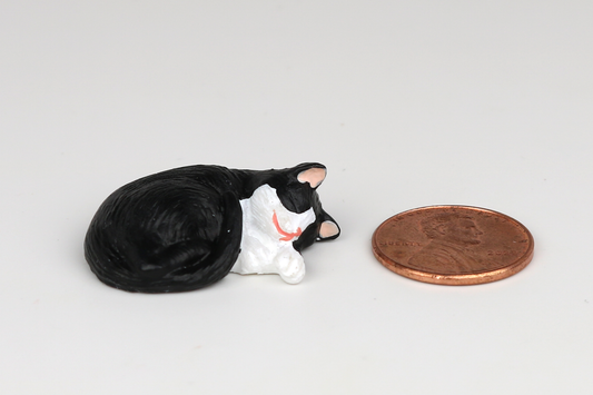 Sleeping Tuxedo Cat
