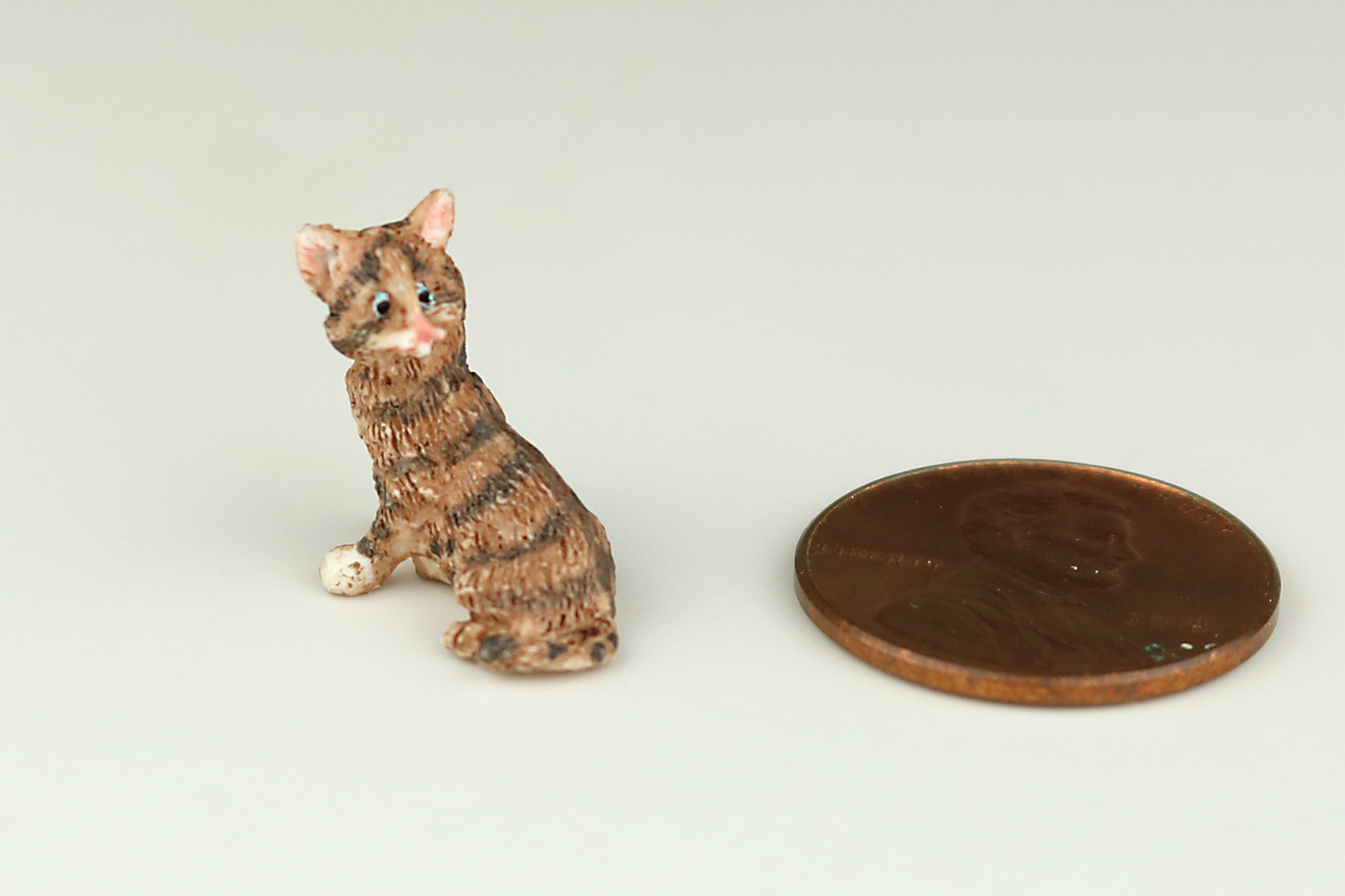 Tortoiseshell Kitten