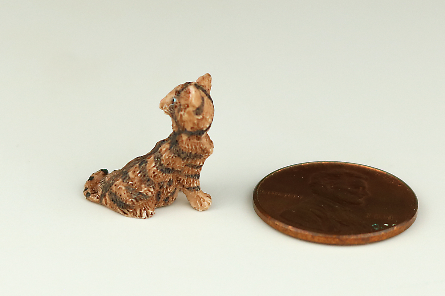 Tortoiseshell Kitten