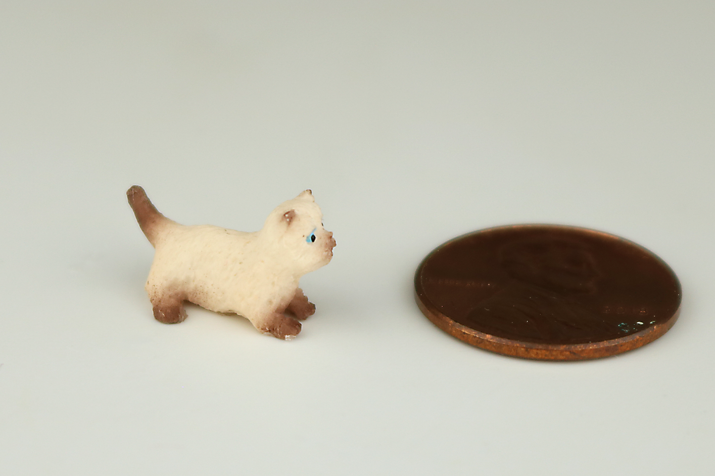 Crouching Color Point Kitten