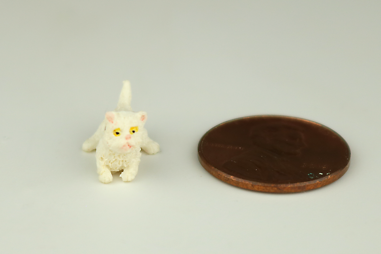 Crouching White Kitten