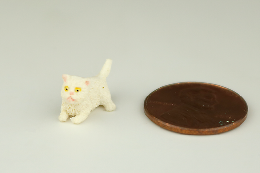 Crouching White Kitten