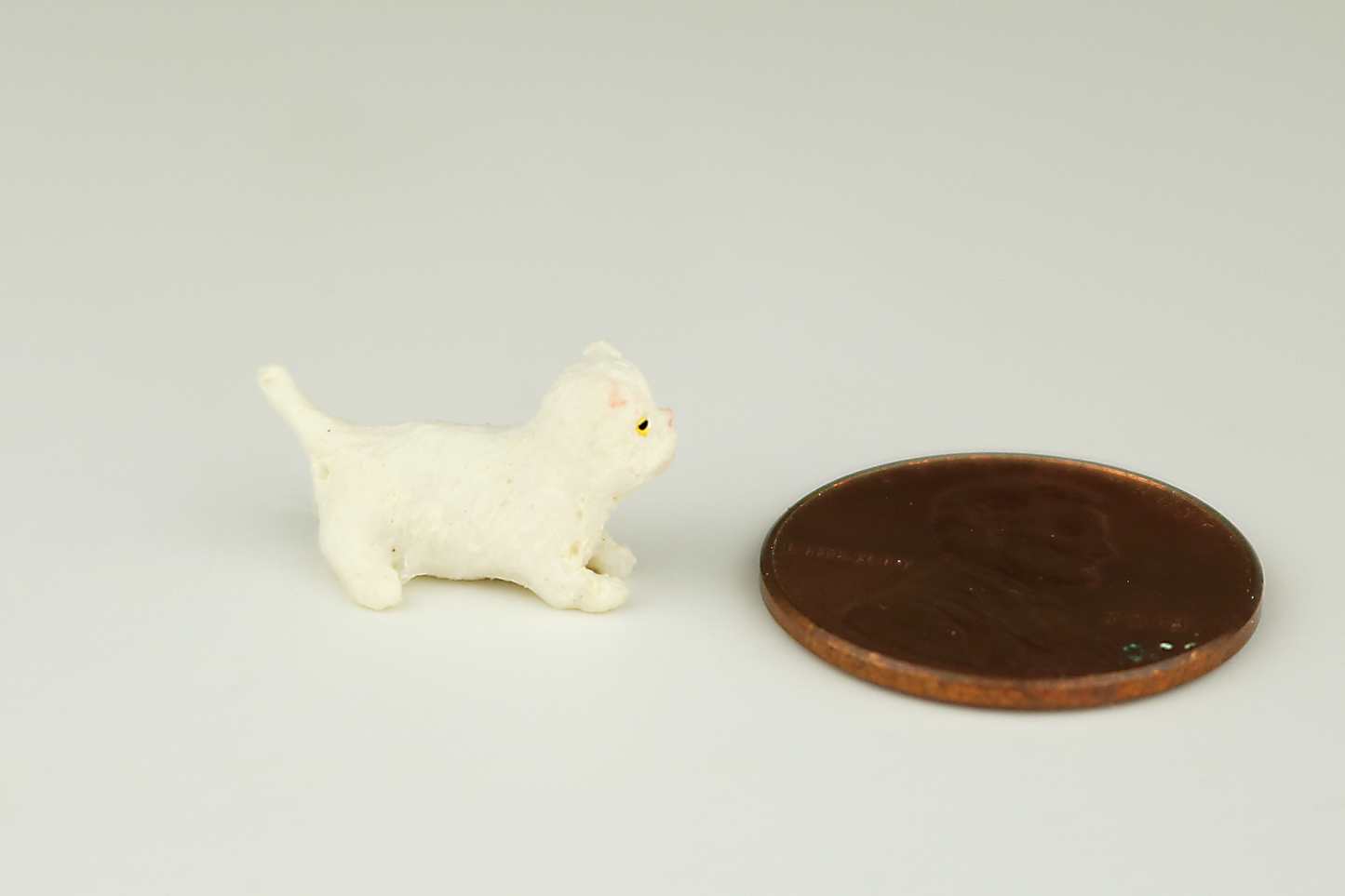 Crouching White Kitten