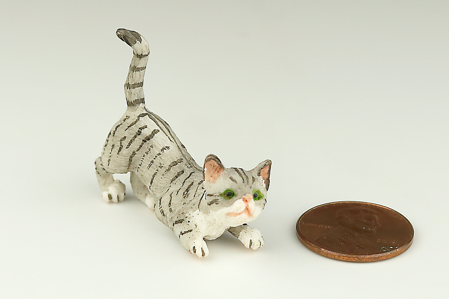 Curious Gray Tabby Cat