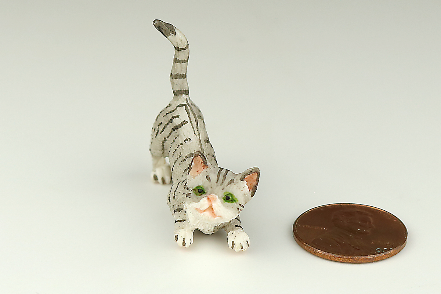 Curious Gray Tabby Cat