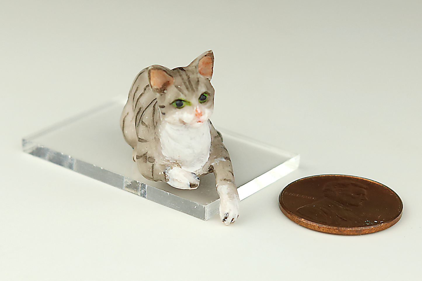 Lounging Gray Tabby Cat