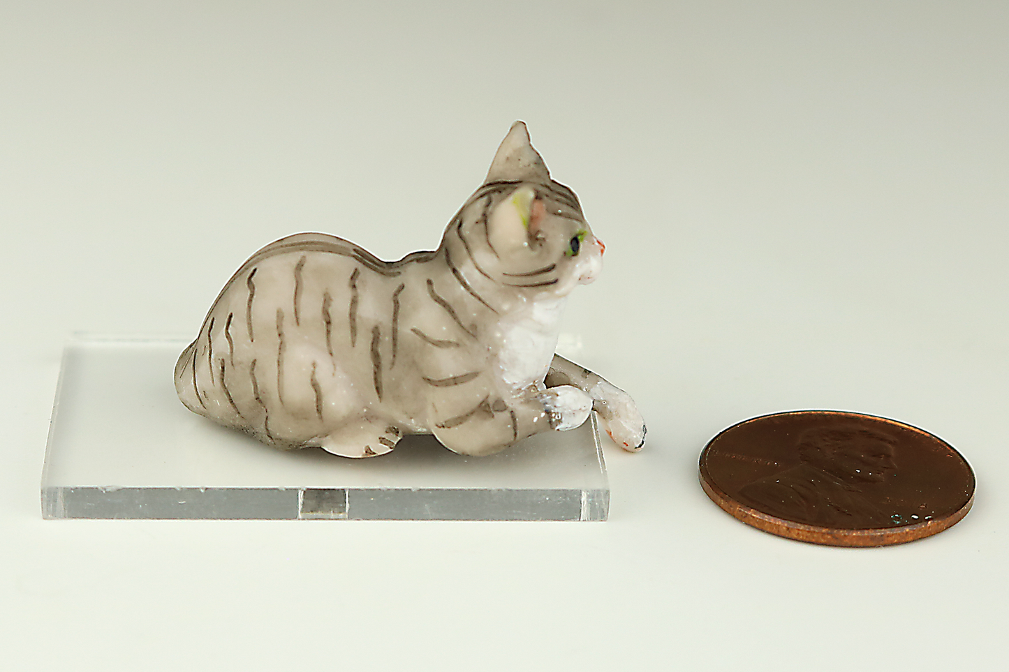 Lounging Gray Tabby Cat