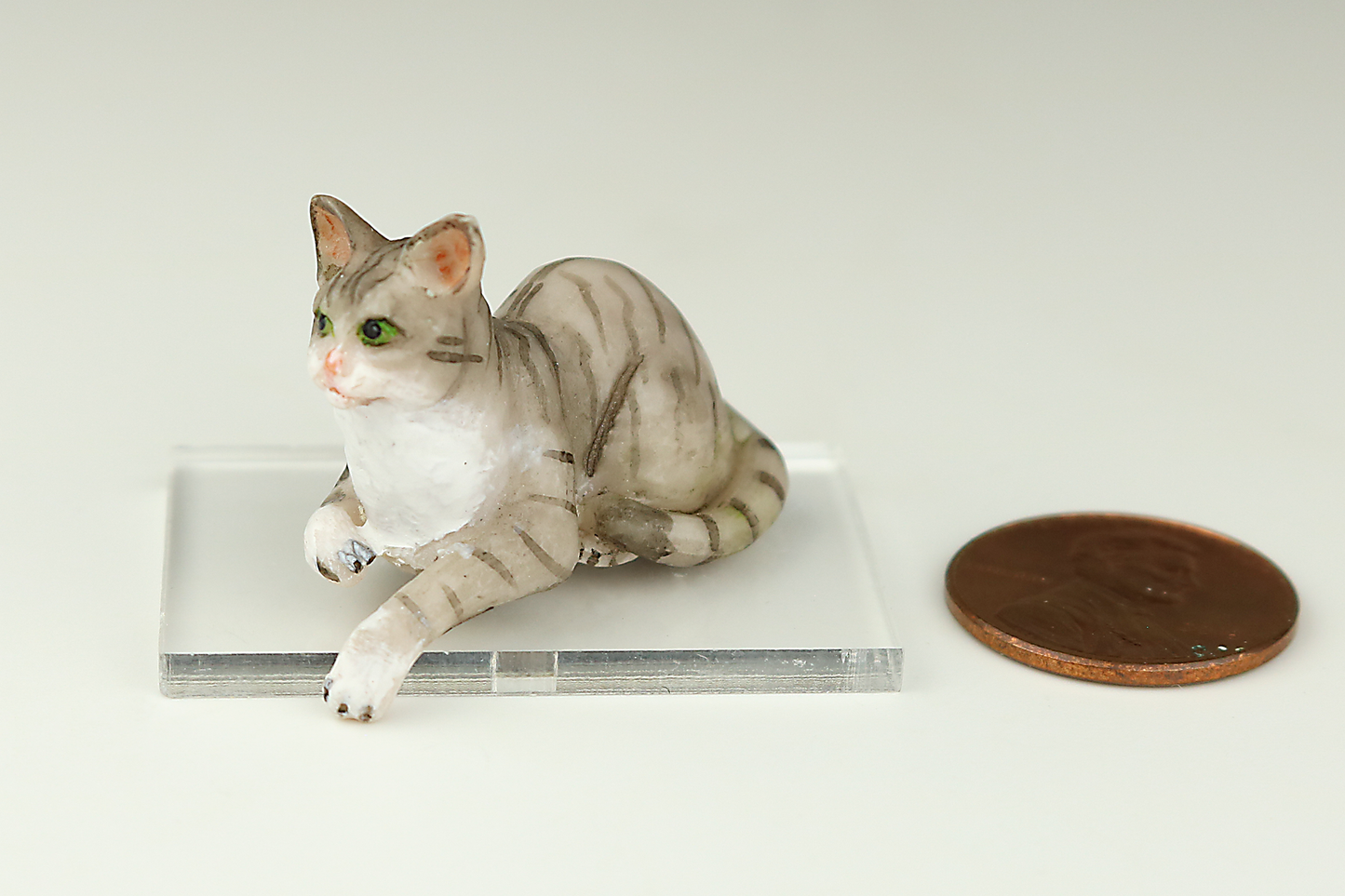 Lounging Gray Tabby Cat