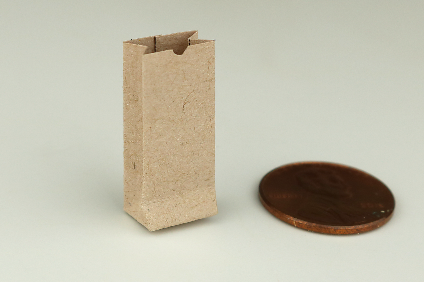 Brown Paper Lunch Bag
