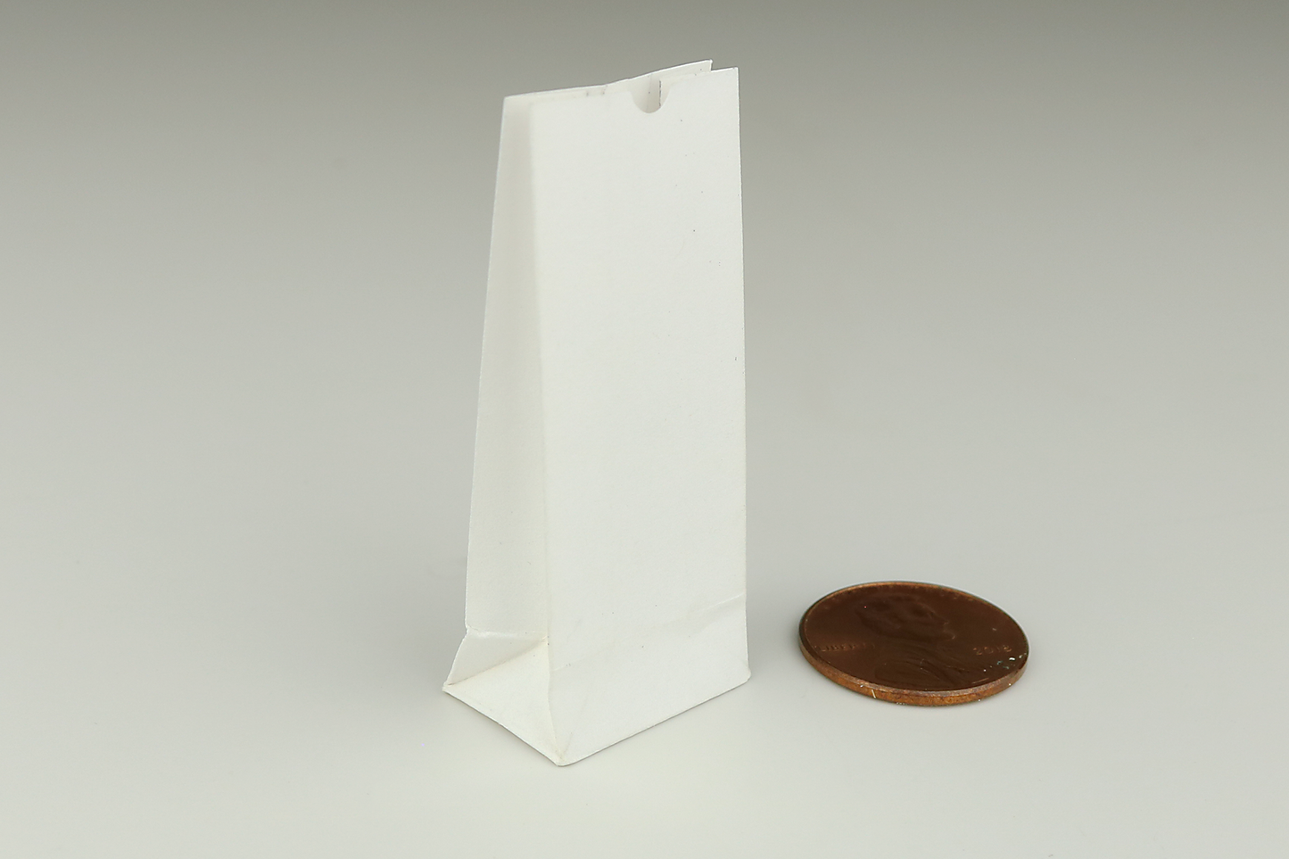 White Paper Bag (Large)