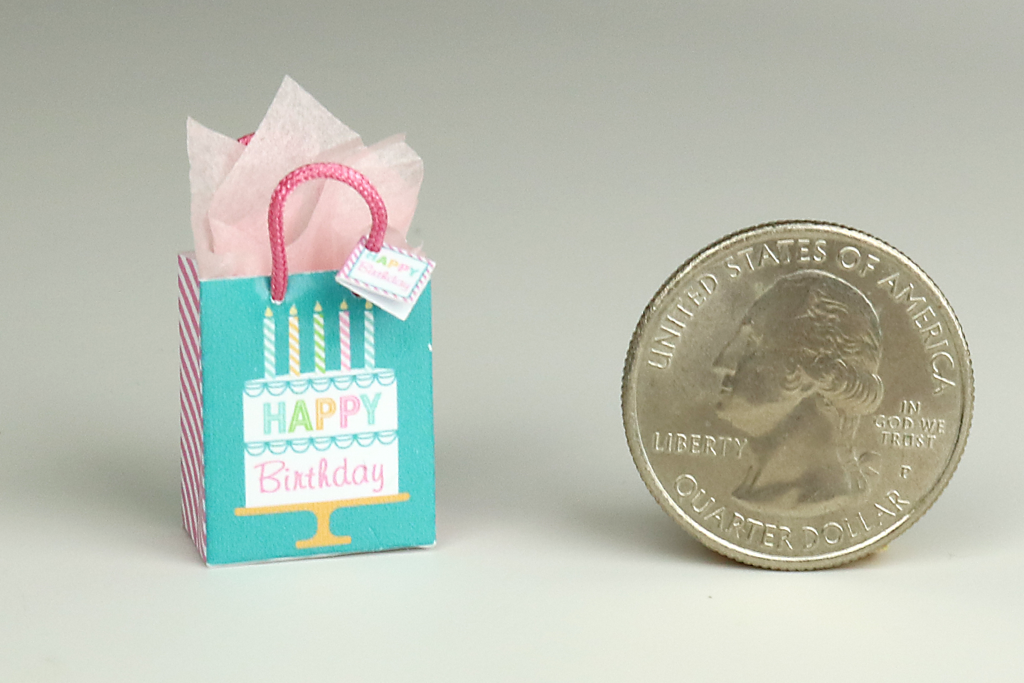 Tiny Package Gift Bag