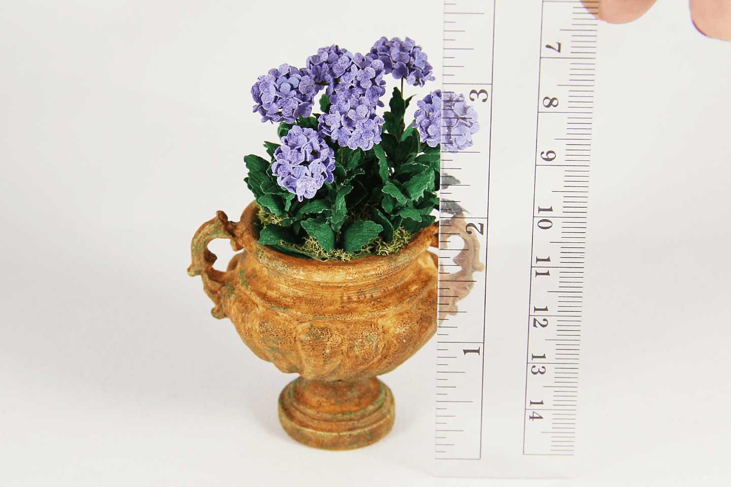 Potted Purple Hydrangea