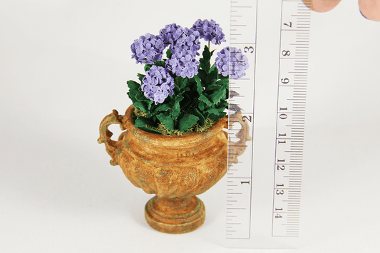 Potted Purple Hydrangea