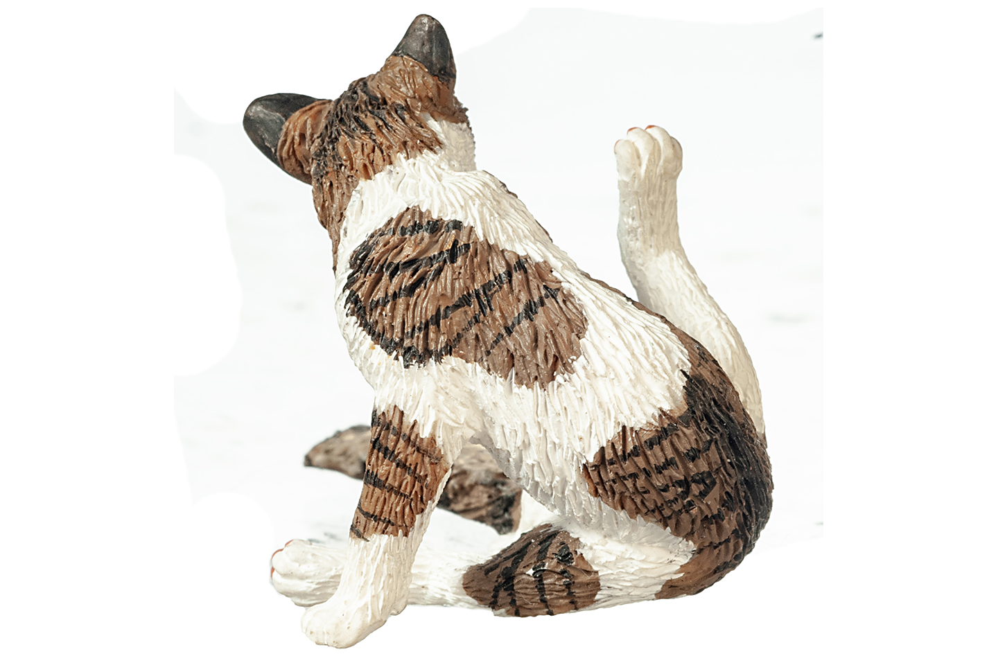 Tabby Cat with Fluffy Tail, Grooming