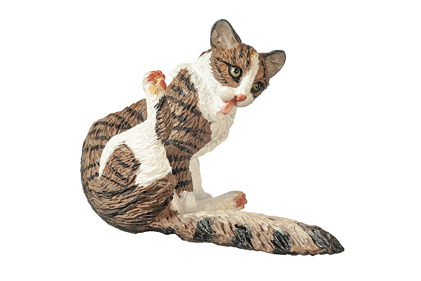 Tabby Cat with Fluffy Tail, Grooming