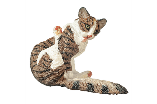 Tabby Cat with Fluffy Tail, Grooming