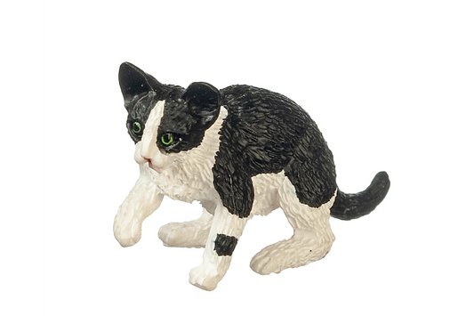 A small black and white cat with green eyes, sitting with its right paw raised in a playful pose, on a white background. It has one black spot on its left paw and the rest of its paws and legs are white. Its back and tail are all black. It has a white stripe down its nose, having a typical "mask and mantle" coat pattern.