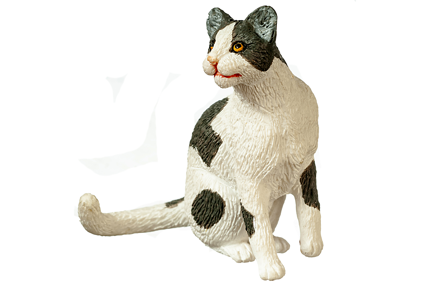 Gray & White Cat, Sitting