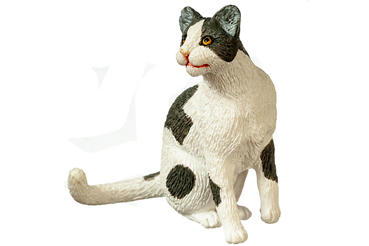 Gray & White Cat, Sitting