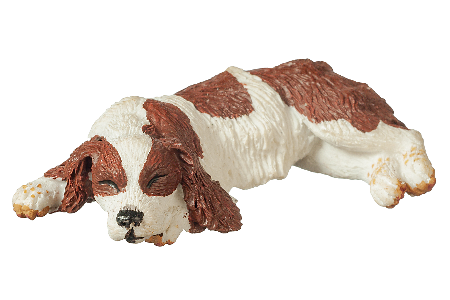 Cocker Spaniel (Brown & White), Sleeping