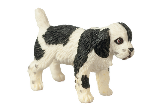 Spaniel Puppy (Black & White), Standing