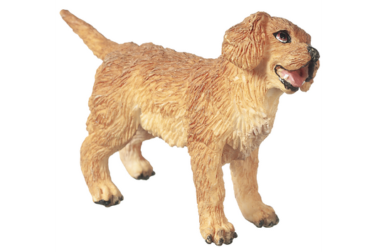 Golden Retriever Puppy, Standing