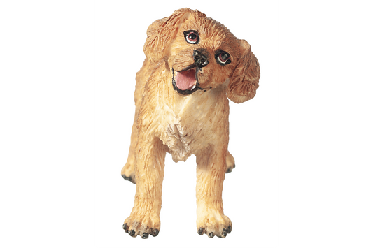 Golden Retriever Puppy, Standing
