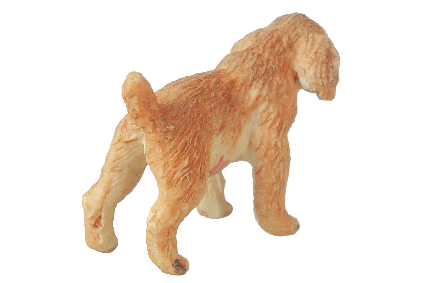 Spaniel Puppy (Buff), Standing